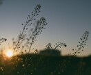 あなたのはなしを肯定的にお聞きします クリニックや病院へ行くほどではないが誰かに聞いてほしい イメージ3