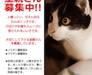 里親探し用チラシデザインあります 猫や犬などの里親探し用のチラシを作成します。 イメージ1