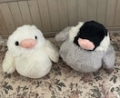 小鳥さん制作します ご依頼後制作開始しますよろしくお願い致します イメージ10