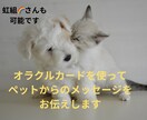 ペットからのメッセージを伝えします オラクルカードを使ってメッセージを出していきます。 イメージ1