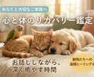 心に寄り添う癒やしの鑑定|あなたの明日を照らします 迷いの霧を払いながら、解決へ導きます。 イメージ1
