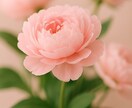 日時相談OK｜つらい気持ちを静かにお聴きします 否定せず、急かさず、あなたのペースで イメージ3