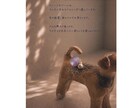 オーダーメイドで愛犬を陶器作品にします 大切な記憶を、陶器のアートとして残します。 イメージ4