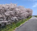 小さな事でも、人生のお悩み等、何でもお聞きします お悩み事に寄り添ってお話を聞き、秘密は厳守致します。 イメージ2