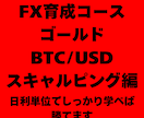 GOLD、BTCUSD等取引スキャル教えます 根拠あるスキャルトレードで、自信を手に入れる！ イメージ1