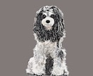 ミニチュアシュナウザーの似顔絵を描きます ミニシュナと暮らす犬絵師が、写真から似顔絵を描きます イメージ10