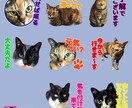 ペットや人物の写真でLINEスタンプを作ります オシャレ系でも可愛い系でもご要望に合うLINEスタンプ制作！ イメージ4