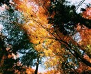 暇つぶしお相手します どこか空虚で退屈で暇だなと感じている同士よ、集え！ イメージ3