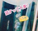 ちょっと話聞いてー！お聞きします とりあえず誰かに話を聞いて欲しいと思っている方の力になりたい イメージ1