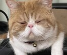 お話し、愚痴、悩み聞きます 話せば悩みは半減！楽しさ2倍！ イメージ3