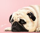 Wow！！リアルなうちの子描きます 【シンプルプラン】あの子への愛情をイラストにします♡ イメージ1