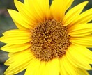 愚痴や悩みを聞きます 誰かに聞いてもらうだけで気分すっきりしますよ。 イメージ1