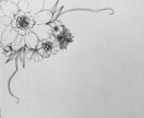 線画のみのお花の絵描きます いろんな用途でご使用できます。 イメージ2