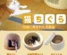 成果を出すチラシ・ポスターを制作します 現役デザイナーとマーケティングの経験で、貴社のビジネスを加速 イメージ1