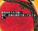 2人の未来とお気持ち占います 恋愛に関して、未来が不安な方の為へ イメージ3