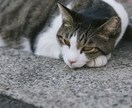 元精神科相談員がうつに関する相談のります 病状、治療、お金、制度・サービス、仕事、対応の仕方 など イメージ5