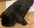 現役学生が下の目線から相談のります 買ってよかった。また話してたい。そう思えるよう努めます イメージ1