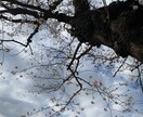 復縁について占います 復縁が叶うのかどうか知りたい方にぴったりな内容です イメージ1