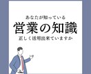 結果につながる営業コンサルします トップセールスだけが持つセールスの本質を提供します！ イメージ2
