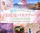 1000円！見やすいオシャレなバナー作成します クオリティに特化した、バナー・ヘッダー作成します！ イメージ5