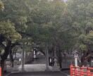 あなたに今必要なメッセージを複数占術でお届けします 無意識で求めている願いや本心、内に秘めた能力を知り望む未来へ イメージ2
