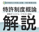 初学者向特許制度概論を実務経験を活かして解説します 知財×経営戦略 将来事業構想•新事業創出•特許法導入ガイド イメージ1