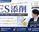 シンクタンク系コンサルタントがESを添削します 実績ある就活メンター経験者があなたを大手企業に導きます。 イメージ1