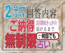 ご納得いただけるまで無制限で深掘り占いします 結果に対する深堀り質問を無制限で見させてもらいます！ イメージ1