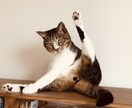 女性限定、恋愛話、愚痴、なんでもお聞きします あなたに寄り添ってお話しをお聞きします(^^) イメージ1