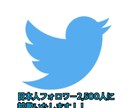 日本人フォロワー2,500人に拡散します 高品質の日本人フォロワー2,500人に拡散いたします！！ イメージ1