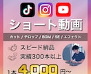 ショート動画作成します SNS用ショート動画作成します イメージ1