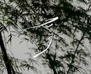 余白を魅せる、ミニマルな手書き文字を書きます 繊細だけど目を惹くデザインで、上品さをアピール。 イメージ7