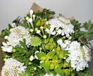 家用、プレゼント用の花束たばねます 花初心者の方向けに花を束ねます！ イメージ4