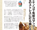 管理栄養士 監修！大手出版社出身ライターが書きます 老化防止、健康寿命、運動習慣、食習慣など、何でもお任せを イメージ6