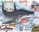 海洋生物のイラスト描きます 小さな魚から、大きなクジラまで… イメージ1