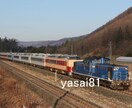 全国の臨時列車運行情報を提供します 電車好きのお子様・鉄道趣味者・写真撮影家向け イメージ3