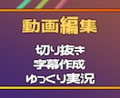 字幕/SEなどの動画編集を行います ゆっくり実況や切り抜きも可能です！ イメージ1