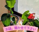 丁寧にあなた様のお話をお聞きします お気持ちを軽くしていきましょう イメージ1