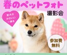 女性・子供向けのやさしいバナー制作します “見やすく・分かりやすい”デザインを制作します。 イメージ6