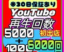 Youtube再生回数 5000増加まで宣伝します ※初出店※3月まで期間限定★6000回まで宣伝します★ イメージ1