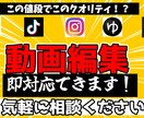 台本のみでOK！ゆっくり実況動画作成します 登録者１０万人の動画編集したことあります イメージ1