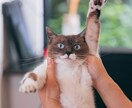否定拒絶なし◎孤軍奮闘するあなたの心、楽にします 諦められない恋、自慢話やノロケ話、ストッパーなしで話そうよ✨ イメージ7