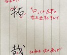 あなたのペン字を添削し、お手本を差し上げます 添削2回！オリジナル手本でとことん練習してください！ イメージ2