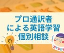 プロ通訳者による英語学習個別相談を行います プロ通訳者が実際に通訳技術を披露 イメージ1