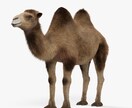 オリジナルキャラクターの3Dデータを制作します あなたが大切にしている物を大切に、カタチにします！ イメージ4