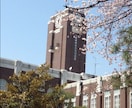 難関受験・不登校相談☆灘→京大の母がサポートします 親目線で大学受験と不登校の悩みに寄り添います♥ イメージ6