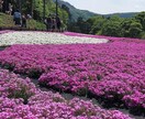 お子様の、将来知りたくないですか、霊視致します お子様の性格や、成長に、不安の、ある方ご相談下さい。 イメージ7