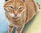 猫ちゃんの似顔絵、デフォルメなど作成します 似顔絵、かわいいイラスト、キャライラスト、人物など描きます イメージ2