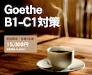 Goethe B1-C1合格へ伴走します 試験日から逆算した個別計画で確実に合格 イメージ1