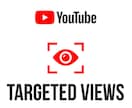 YouTube動画をターゲット視聴者に宣伝します あなたの結果が試される！？動画を最大8万人に超強力に大宣伝！ イメージ2